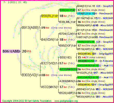 Pedigree of B061(ABB) :
four generations presented
it's temporarily unavailable, sorry!