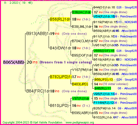 Pedigree of B065(ABB) :
four generations presented
it's temporarily unavailable, sorry!