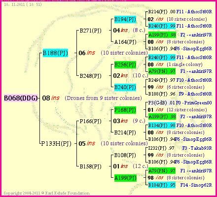 Pedigree of B068(DDG) :
four generations presented