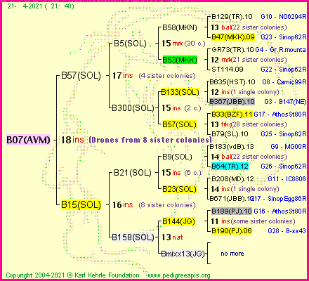 Pedigree of B07(AVM) :
four generations presented
it's temporarily unavailable, sorry!