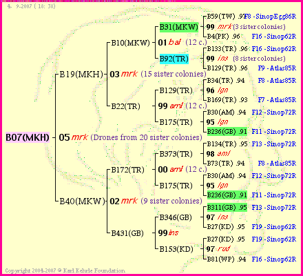 Pedigree of B07(MKH) :
four generations presented