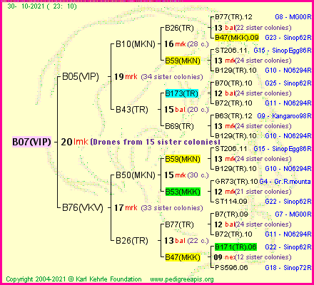 Pedigree of B07(VIP) :
four generations presented
it's temporarily unavailable, sorry!