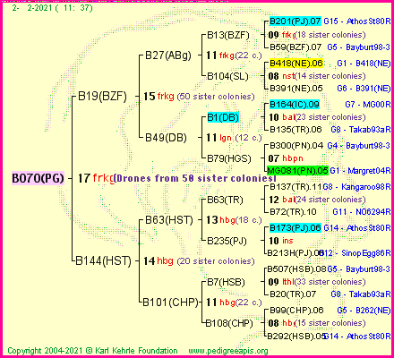 Pedigree of B070(PG) :
four generations presented
it's temporarily unavailable, sorry!