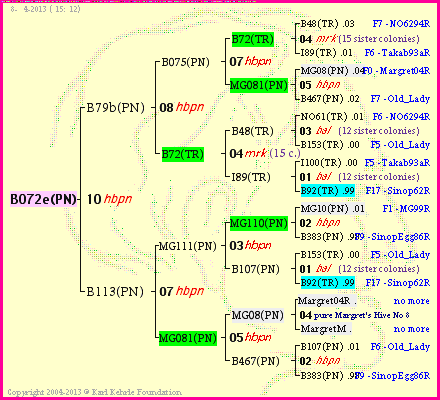 Pedigree of B072e(PN) :
four generations presented