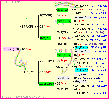 Pedigree of B072f(PN) :
four generations presented