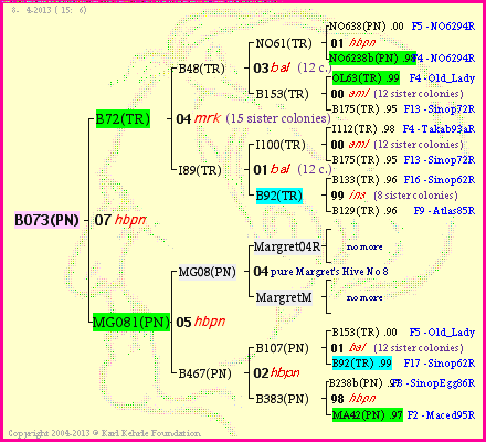 Pedigree of B073(PN) :
four generations presented