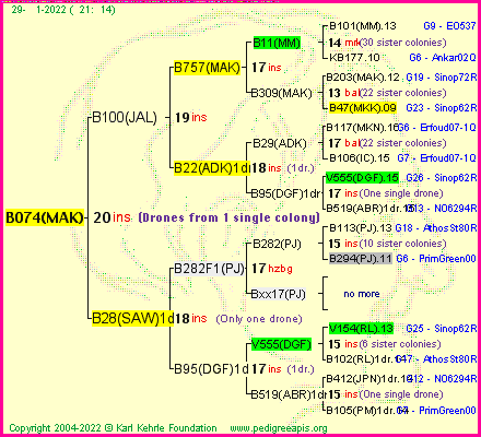 Pedigree of B074(MAK) :
four generations presented
it's temporarily unavailable, sorry!