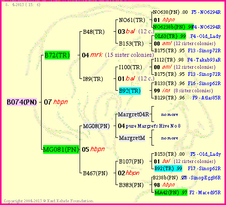 Pedigree of B074(PN) :
four generations presented