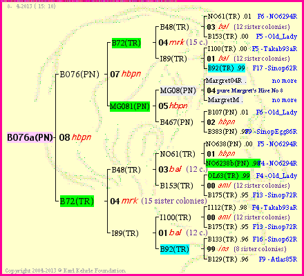 Pedigree of B076a(PN) :
four generations presented