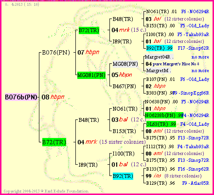 Pedigree of B076b(PN) :
four generations presented