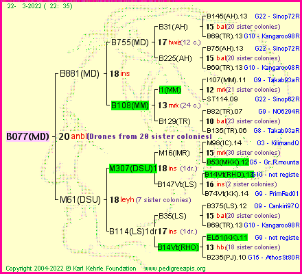 Pedigree of B077(MD) :
four generations presented
it's temporarily unavailable, sorry!