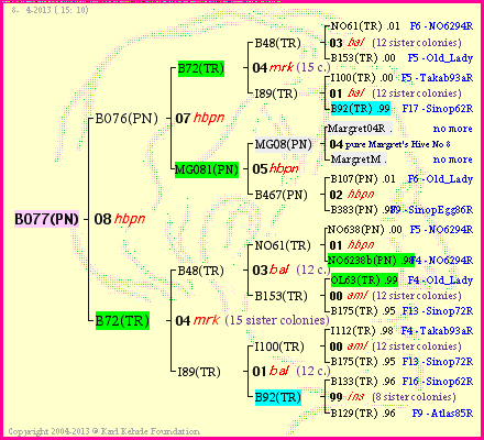 Pedigree of B077(PN) :
four generations presented