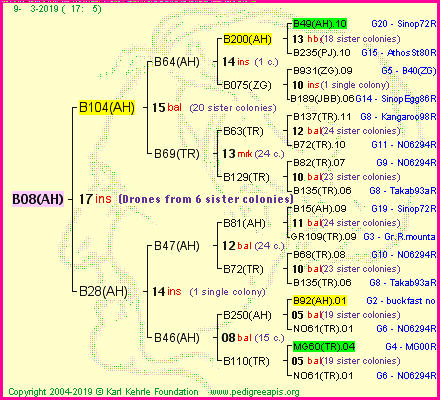 Pedigree of B08(AH) :
four generations presented<br />it's temporarily unavailable, sorry!