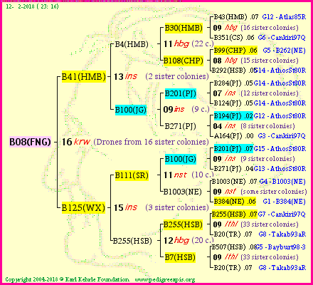 Pedigree of B08(FNG) :
four generations presented<br />it's temporarily unavailable, sorry!