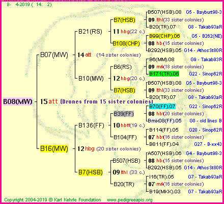 Pedigree of B08(MW) :
four generations presented<br />it's temporarily unavailable, sorry!