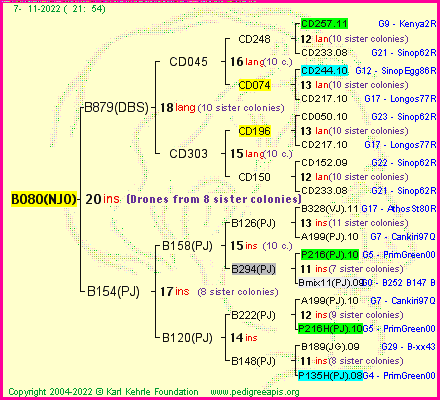 Pedigree of B080(NJO) :
four generations presented
it's temporarily unavailable, sorry!