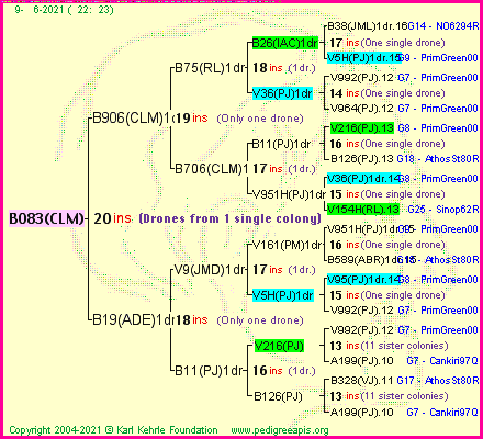 Pedigree of B083(CLM) :
four generations presented
it's temporarily unavailable, sorry!