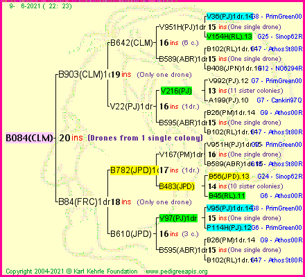 Pedigree of B084(CLM) :
four generations presented
it's temporarily unavailable, sorry!