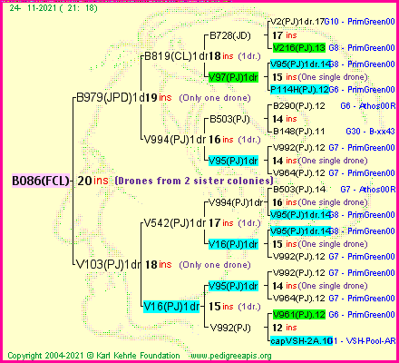 Pedigree of B086(FCL) :
four generations presented
it's temporarily unavailable, sorry!