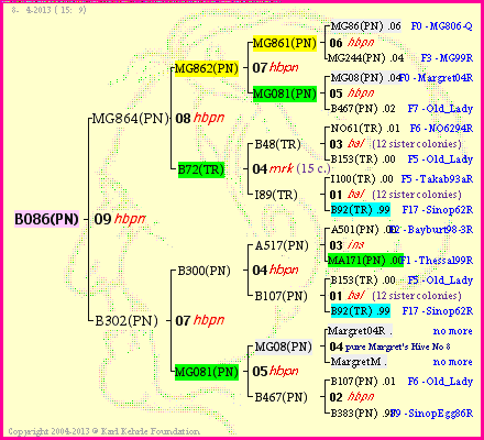 Pedigree of B086(PN) :
four generations presented