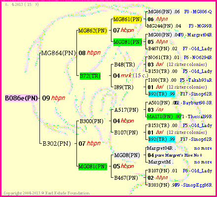 Pedigree of B086e(PN) :
four generations presented