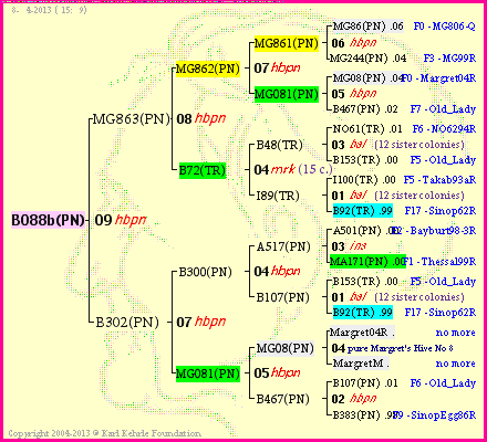 Pedigree of B088b(PN) :
four generations presented