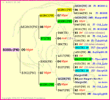 Pedigree of B088c(PN) :
four generations presented