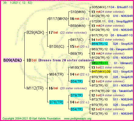 Pedigree of B09(ADK) :
four generations presented
it's temporarily unavailable, sorry!