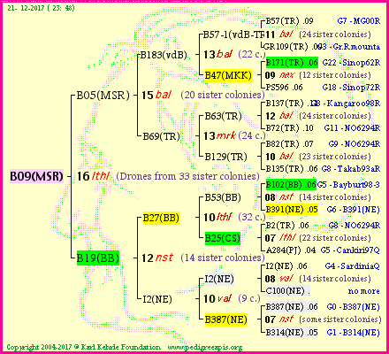 Pedigree of B09(MSR) :
four generations presented<br />it's temporarily unavailable, sorry!