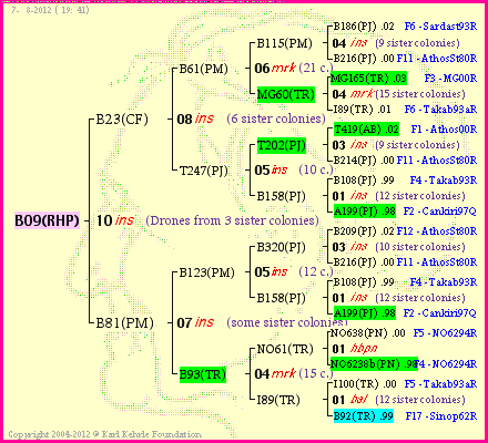 Pedigree of B09(RHP) :
four generations presented