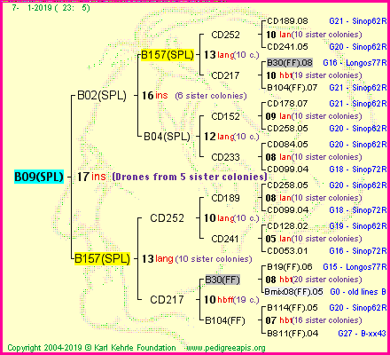 Pedigree of B09(SPL) :
four generations presented<br />it's temporarily unavailable, sorry!