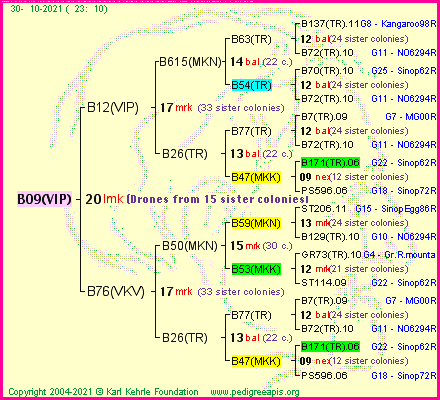 Pedigree of B09(VIP) :
four generations presented
it's temporarily unavailable, sorry!