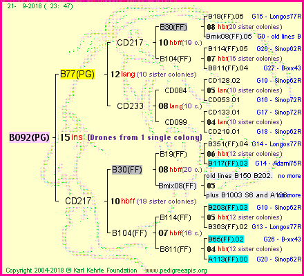 Pedigree of B092(PG) :
four generations presented<br />it's temporarily unavailable, sorry!