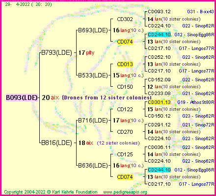 Pedigree of B093(LDE) :
four generations presented
it's temporarily unavailable, sorry!