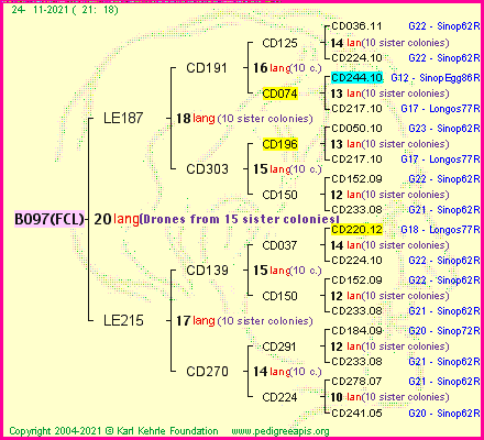 Pedigree of B097(FCL) :
four generations presented
it's temporarily unavailable, sorry!