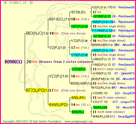 Pedigree of B098(CL) :
four generations presented
it's temporarily unavailable, sorry!