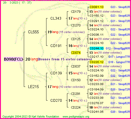 Pedigree of B098(FCL) :
four generations presented
it's temporarily unavailable, sorry!