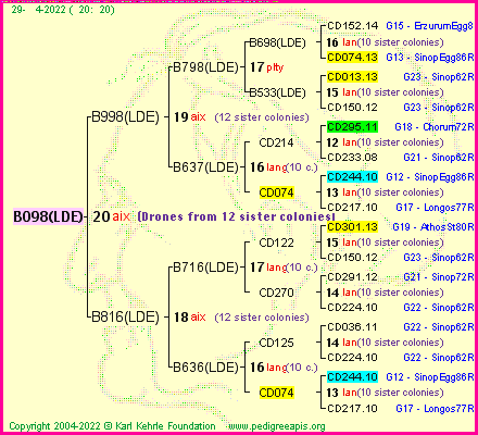 Pedigree of B098(LDE) :
four generations presented
it's temporarily unavailable, sorry!