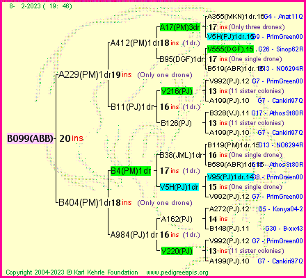 Pedigree of B099(ABB) :
four generations presented
it's temporarily unavailable, sorry!