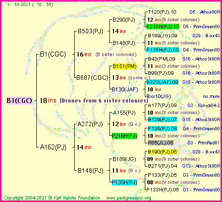 Pedigree of B1(CGC) :
four generations presented
it's temporarily unavailable, sorry!