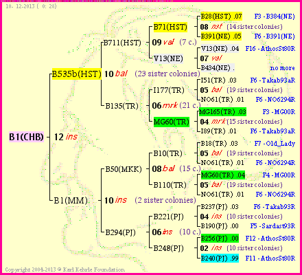 Pedigree of B1(CHB) :
four generations presented