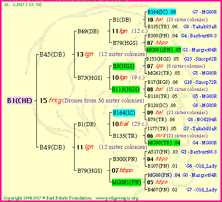 Pedigree of B1(CHE) :
four generations presented
temporarily unavailable ... sorry