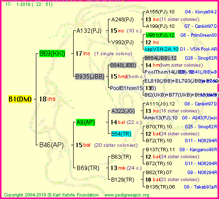 Pedigree of B1(DM) :
four generations presented<br />it's temporarily unavailable, sorry!