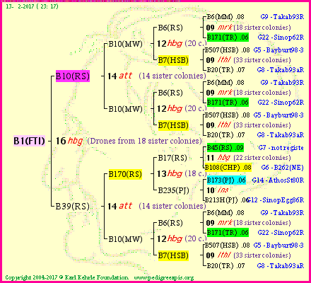 Pedigree of B1(FTI) :
four generations presented