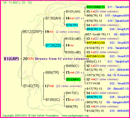 Pedigree of B1(GRP) :
four generations presented
it's temporarily unavailable, sorry!