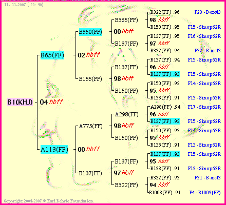 Pedigree of B1(KHJ) :
four generations presented