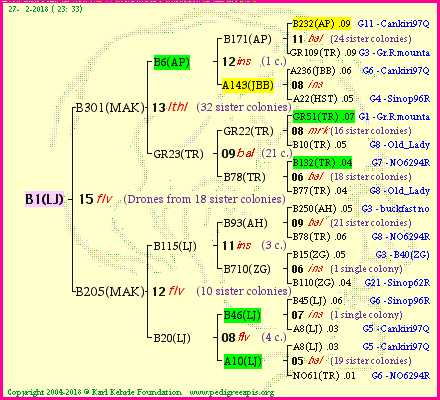 Pedigree of B1(LJ) :
four generations presented<br />it's temporarily unavailable, sorry!