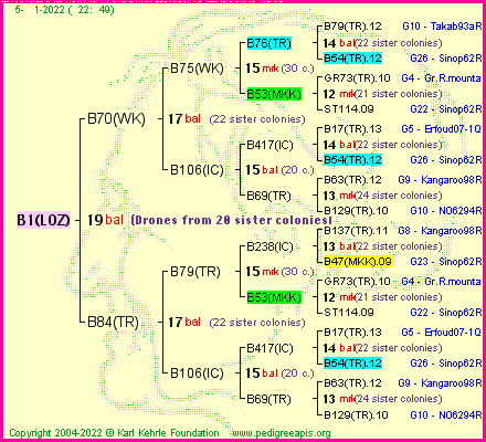 Pedigree of B1(LOZ) :
four generations presented
it's temporarily unavailable, sorry!