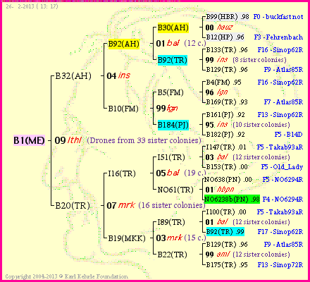 Pedigree of B1(ME) :
four generations presented