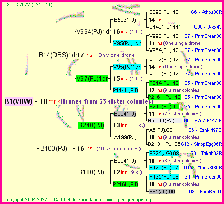 Pedigree of B1(VDW) :
four generations presented
it's temporarily unavailable, sorry!